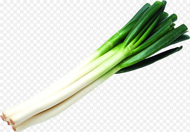 ������Ӱ�����͵Ĵ���-������