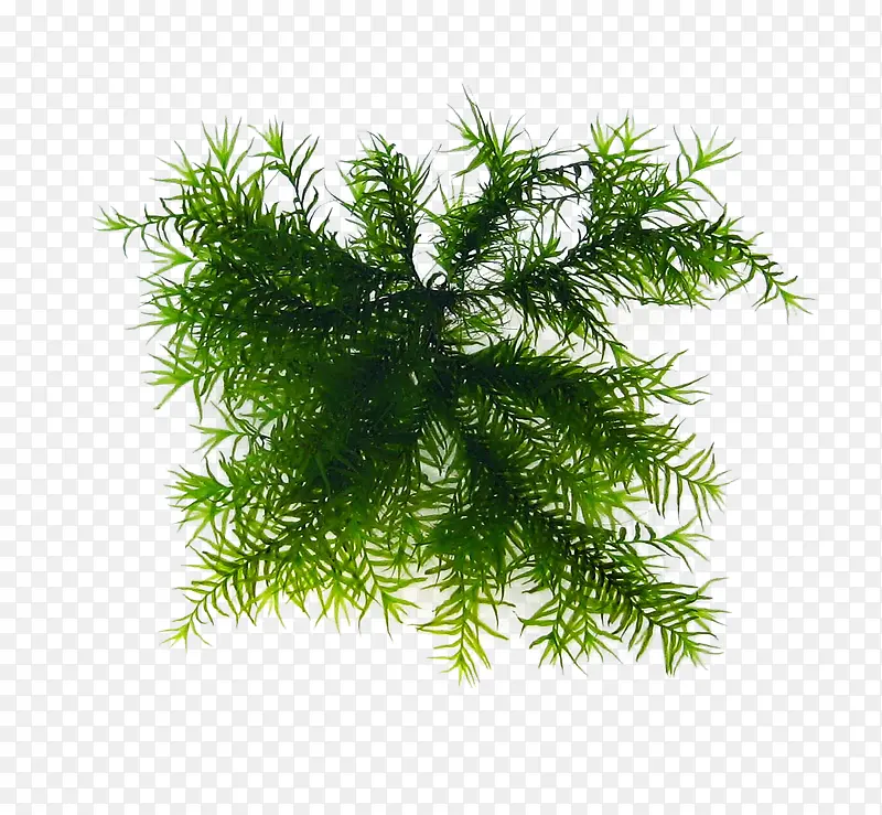 ���� ͸������png-������