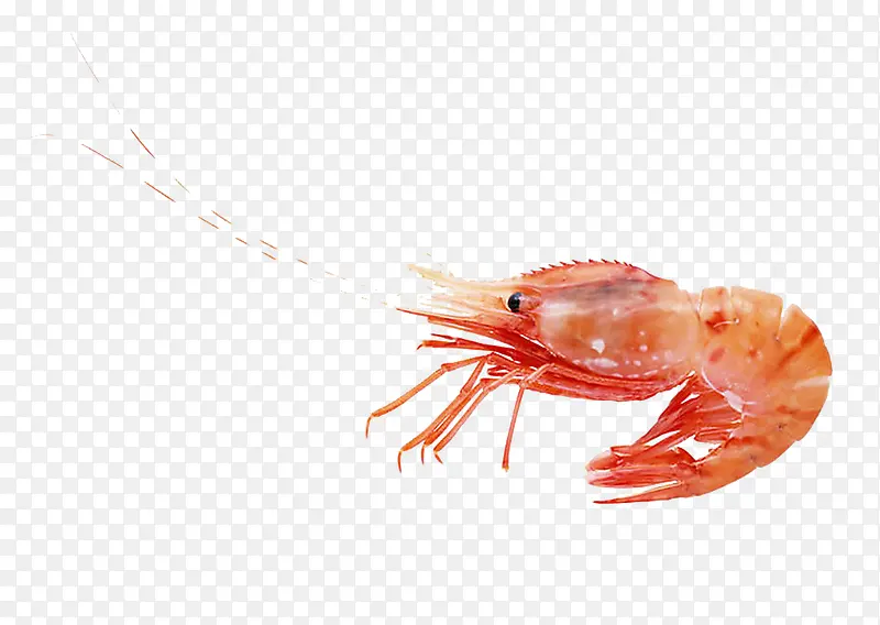 Ϻз�ز�ʵ������ز��������-������