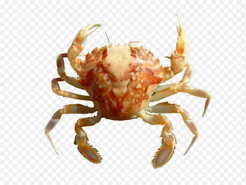 Ϻз����ز��������-������