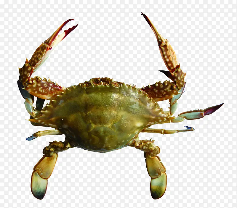 Ϻзװ��ʵ������ز�-������