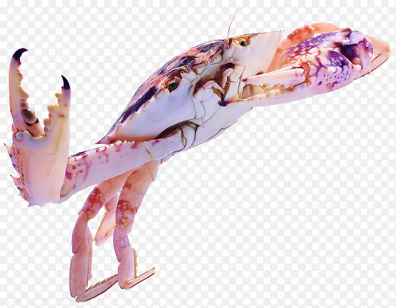 Ϻзʵ��װ�� ����ز�-������