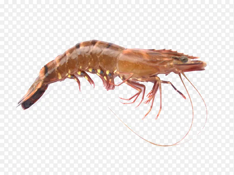 Ϻз�ز�ʵ��װ������ز�-������