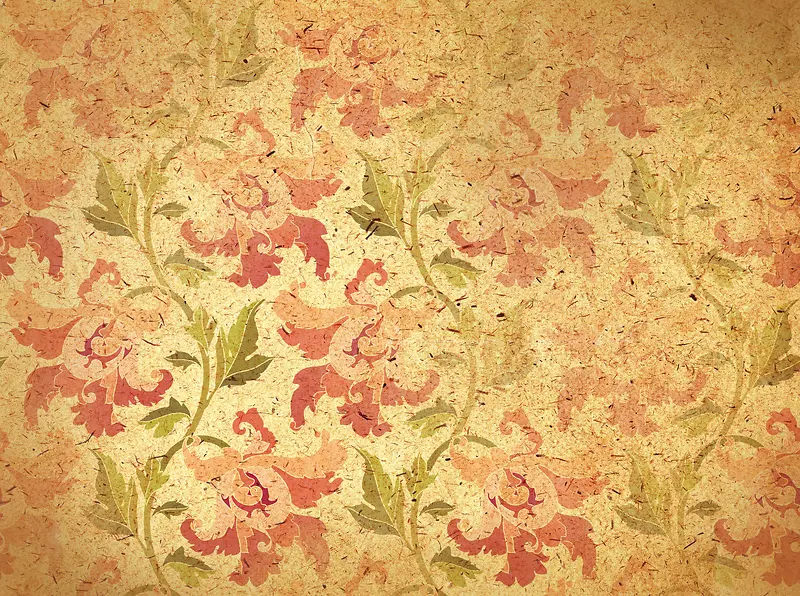 ���ܱ���ֽ���ز�-������