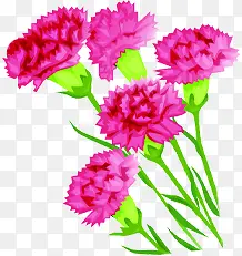 Ψ��ʱ�д��컨����-������