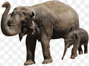 ���ն��������Ӱ-������