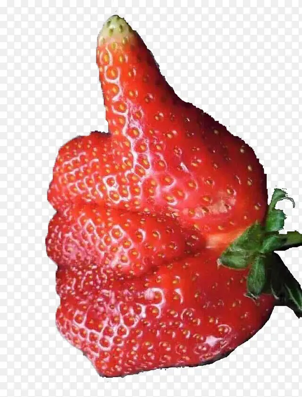 ��ָ��ݮ-������