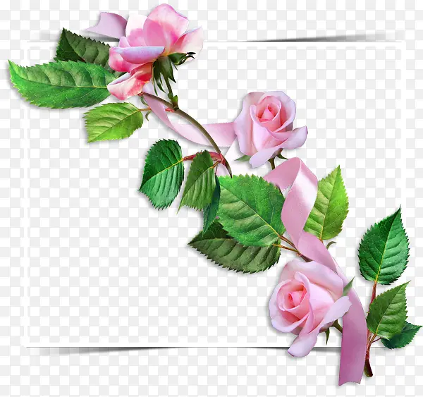 õ�廨��ǩ-������