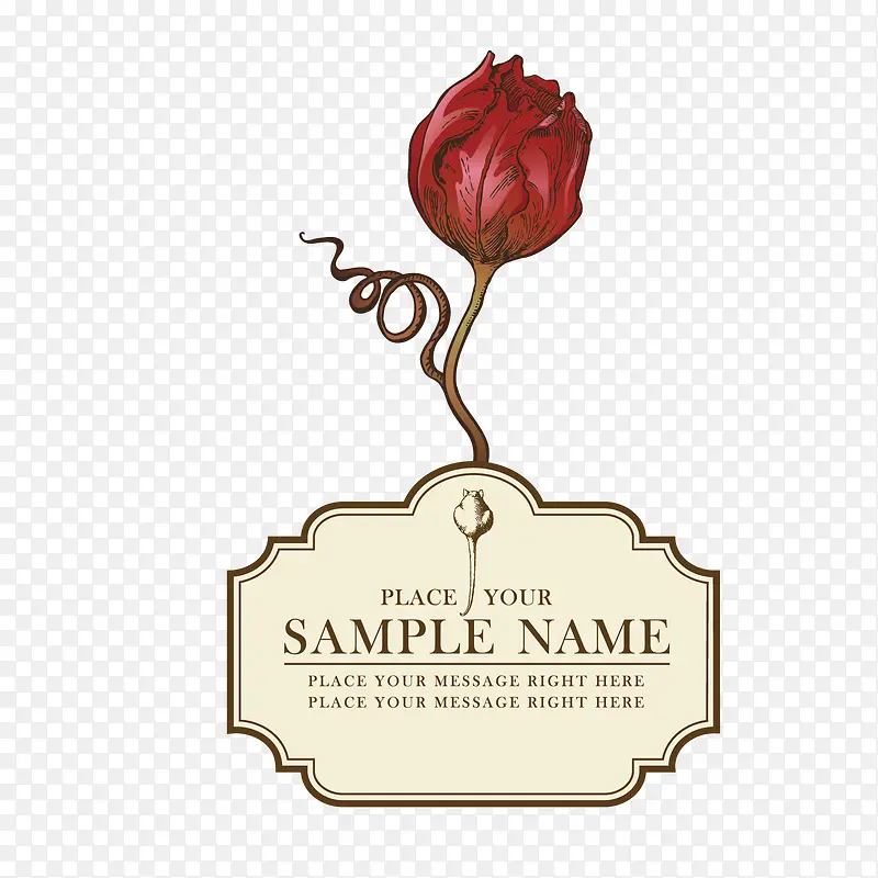 ��ǩõ��-������