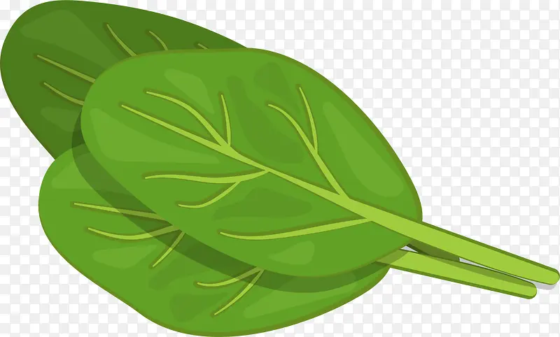 ��ɫ�߲�Ҷ��-������