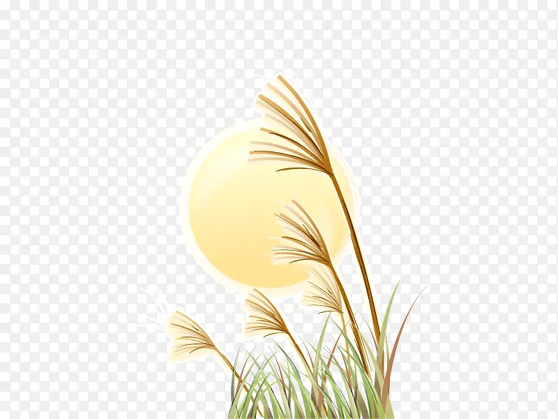 �ݴ�������ͨʸ���ز�-������