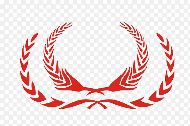 ���G����ĶԳ�����ʸ��ͼ��-������