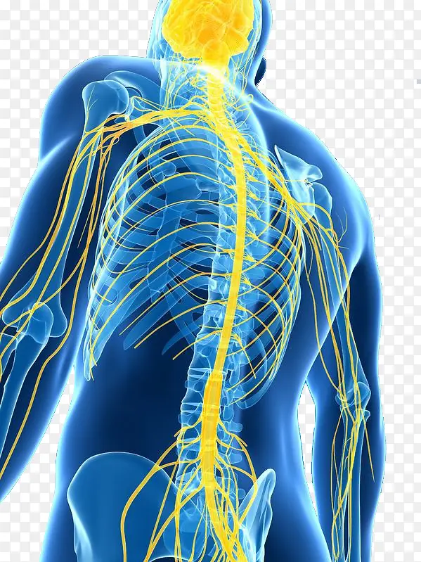 ������ϵͳ��ʾͼ������-������