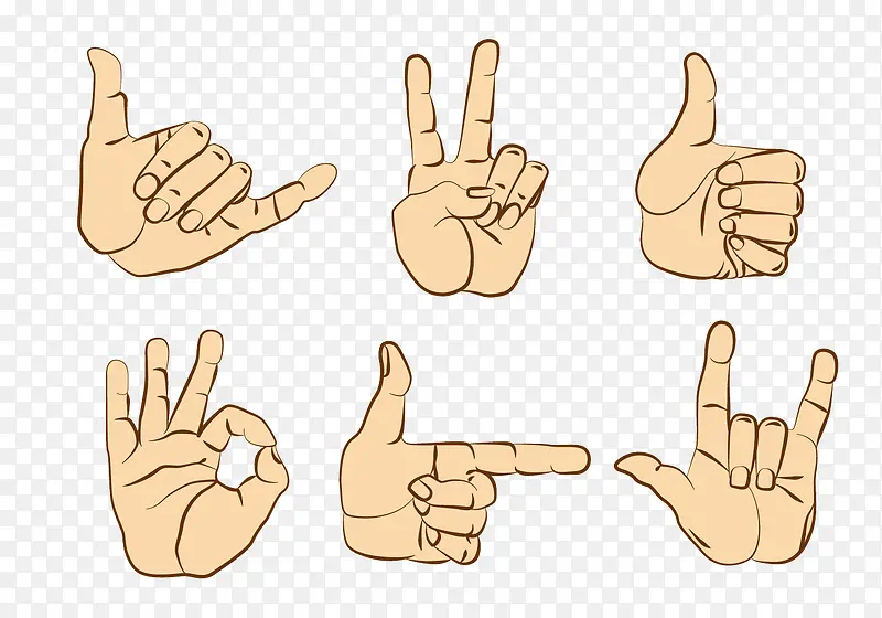 ��ָ������������-������