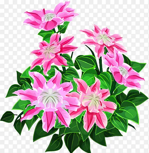 ����-������