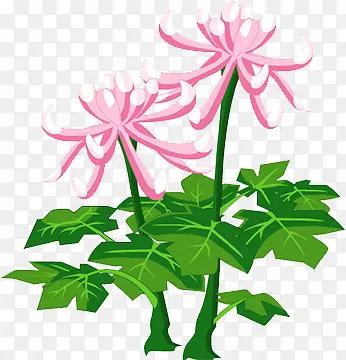 ����-������