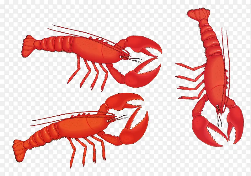 �ֻ��ɫ��Ϻ�ز�-������