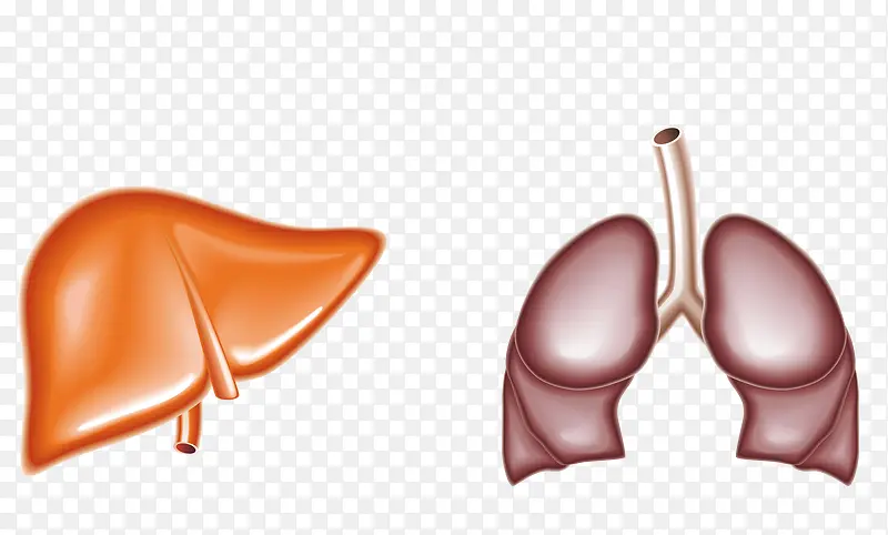 ʸ���η��ز�-������