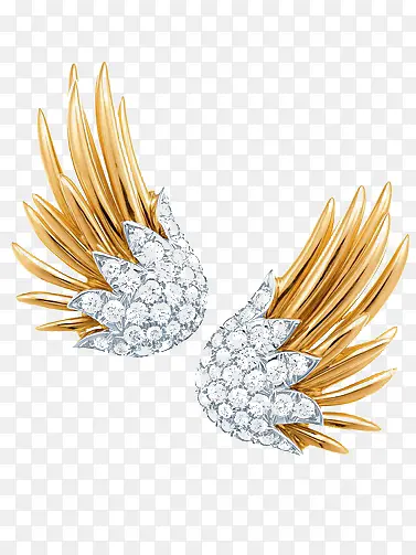 ��ɫ������-������