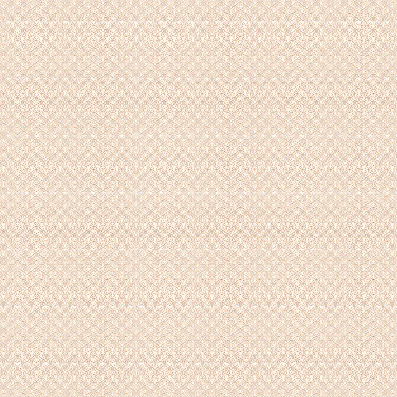 �����������Ʊ����ز�-������