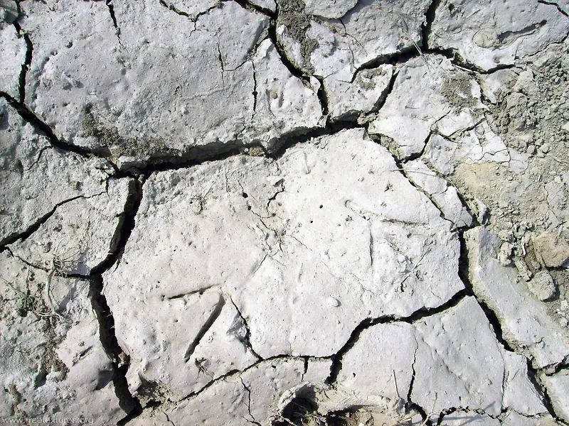 �������Ʊ���-������