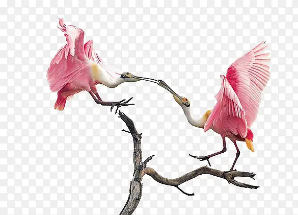 ��-������