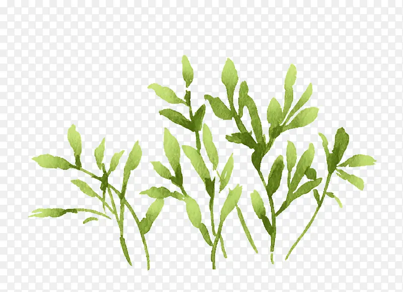 ��ɫ�Ĳ�-������