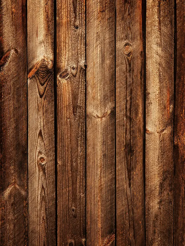 ľ���ز�-������