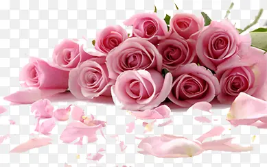 ��ɫõ�廨Ч����Ӱͼ-������