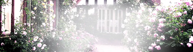 ������Ӱ�ϳ�Ч��õ�廨-������