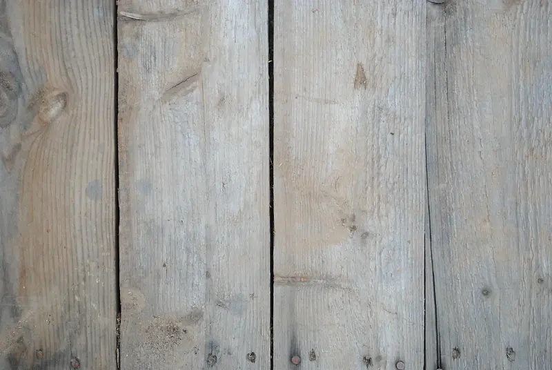 ľ����Ʊ���-������