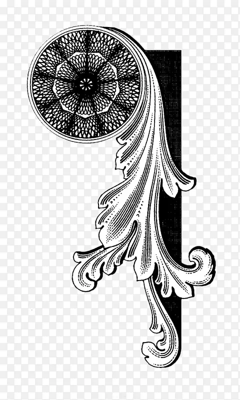 �ڰ�ɫ���⻨��-������