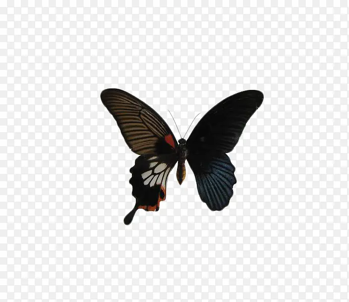 �ʶ�������-������