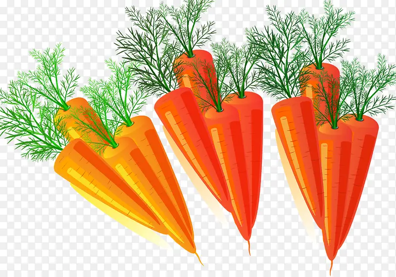 �ֻ������ĺ��ܲ��ز�-������