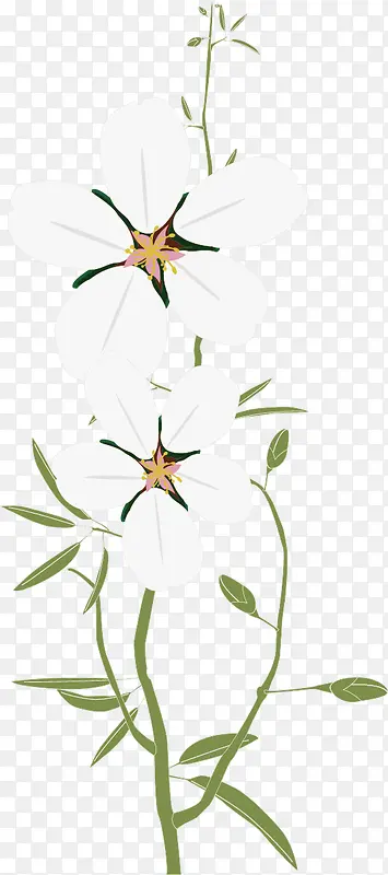 ʸ��ѩ÷���ز�-������