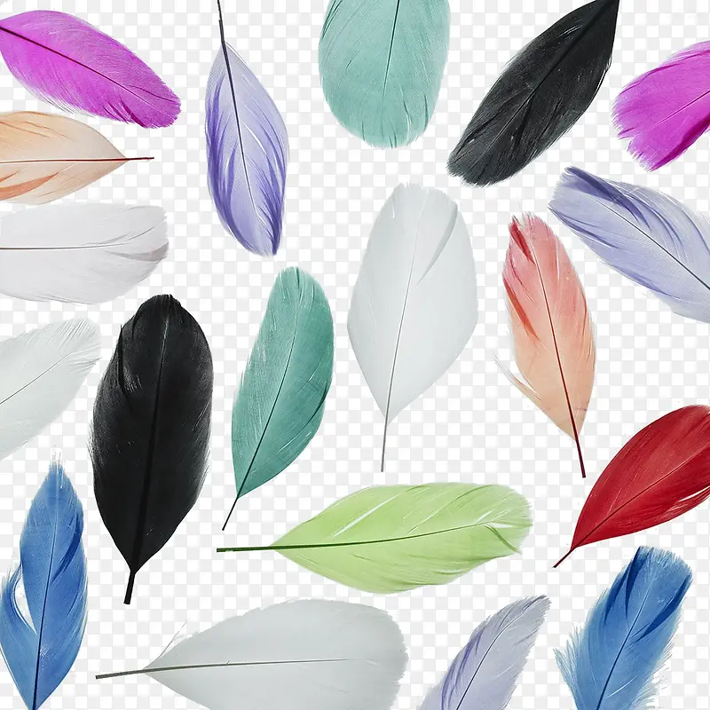 ��ɫ��ë����-������