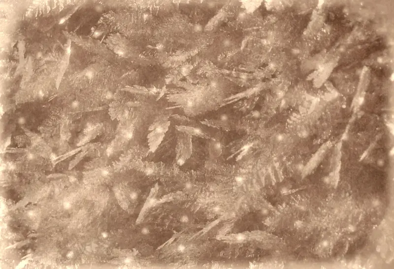 ������Ҷ����-������