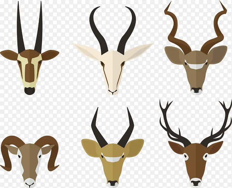 �нǶ���ͷ��ʸ��ͼ-������