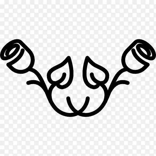 ��õ��ĶԳ�ͼ��-������