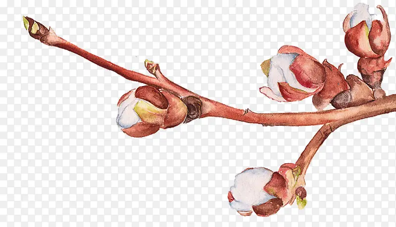 �һ��廭-������