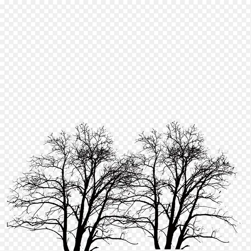 �й��Ļ�-������