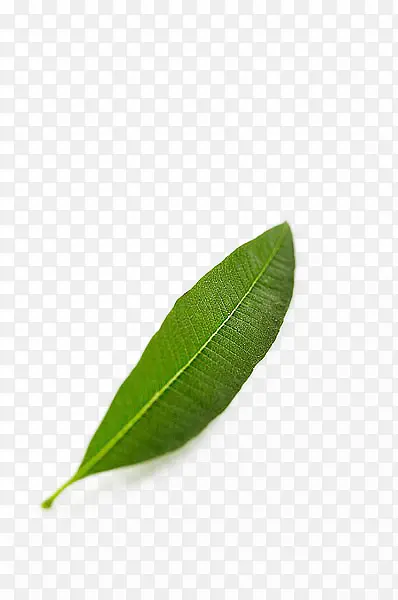 ���޲��������-������