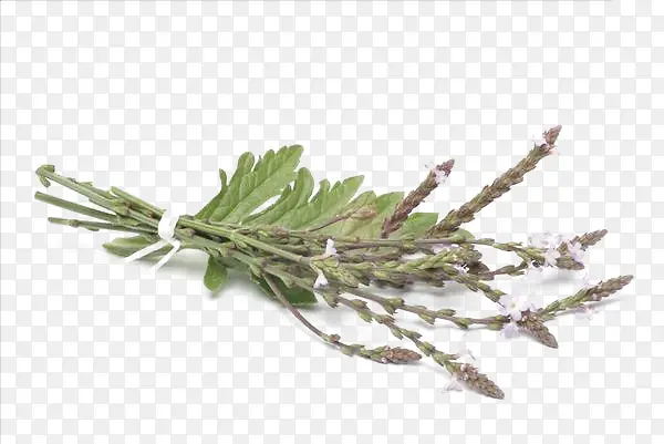 ���޲��������-������