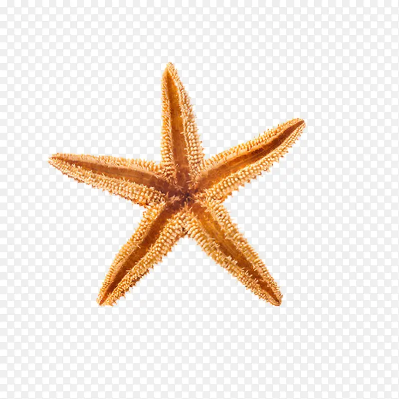 ����װ�θ������ͼ�ز�-������