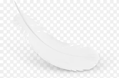 Ʈ��İ�ɫ��ë-������