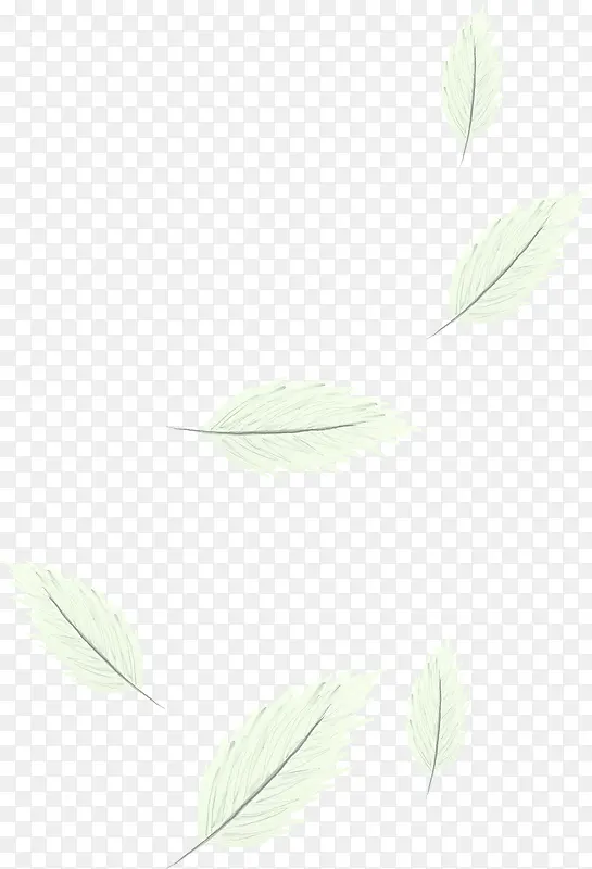 ��ɫ��Ʈ��ë-������