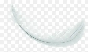 ��ɫƮ����ë-������