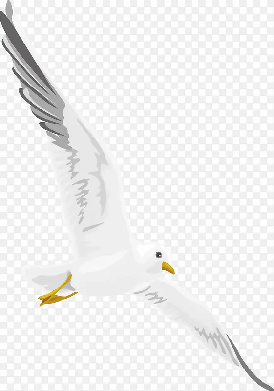 ����װ�����ʸ��-������