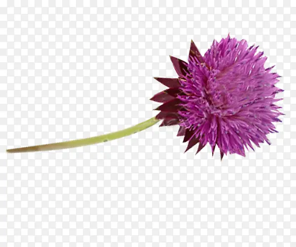 �̼���ͼƬ��-������