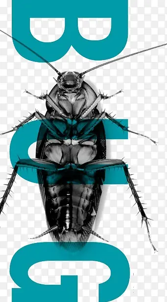 ������ƺ���-������